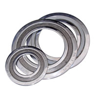 Spiral Wound Metallic Gaskets